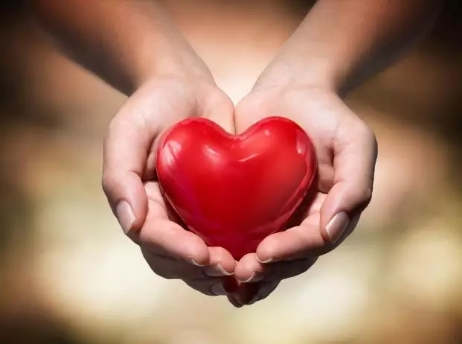 1525431352488080602.png 1525431352488080602.png